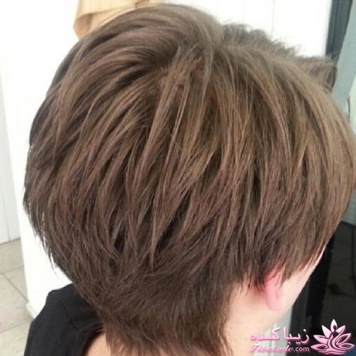 انواع مدل مو در منزل